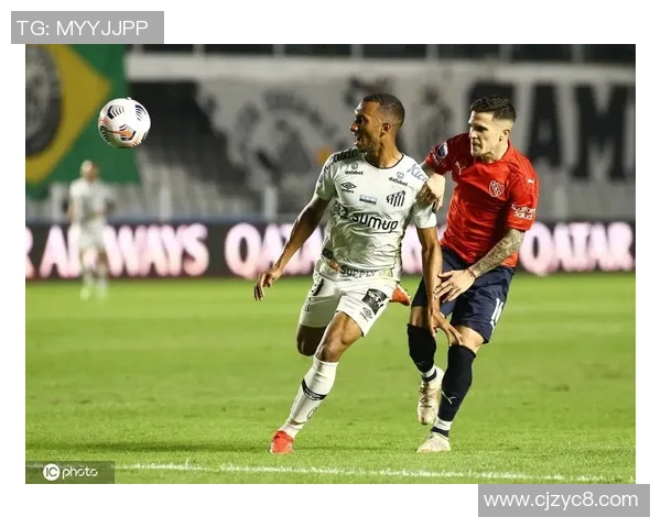 圣保罗锦赛精彩对决桑托斯迎战博塔弗戈争夺晋级资格