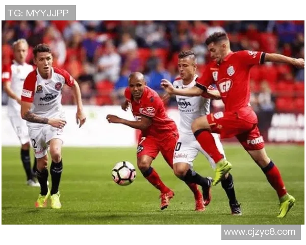 阿德莱德与墨尔本城对决前瞻及比分预测分析